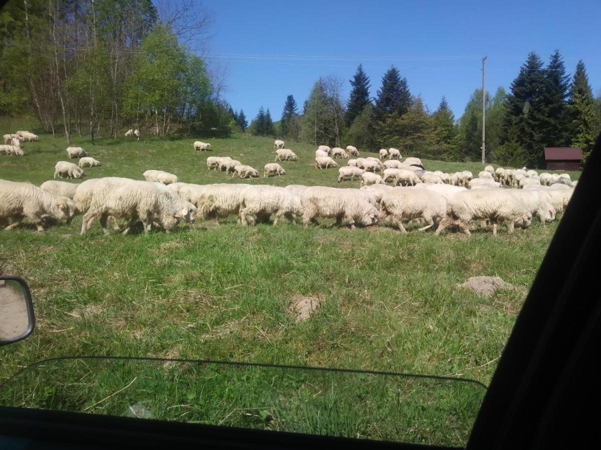 Agroturystyka Boguska Zawoja Exterior foto